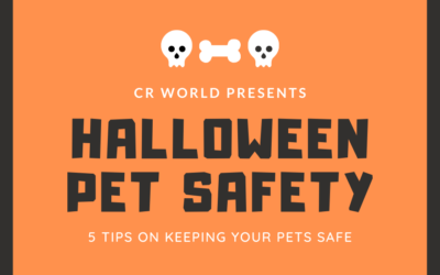 Halloween Pet Safety