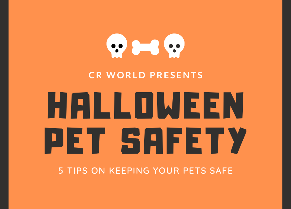 Halloween Pet Safety